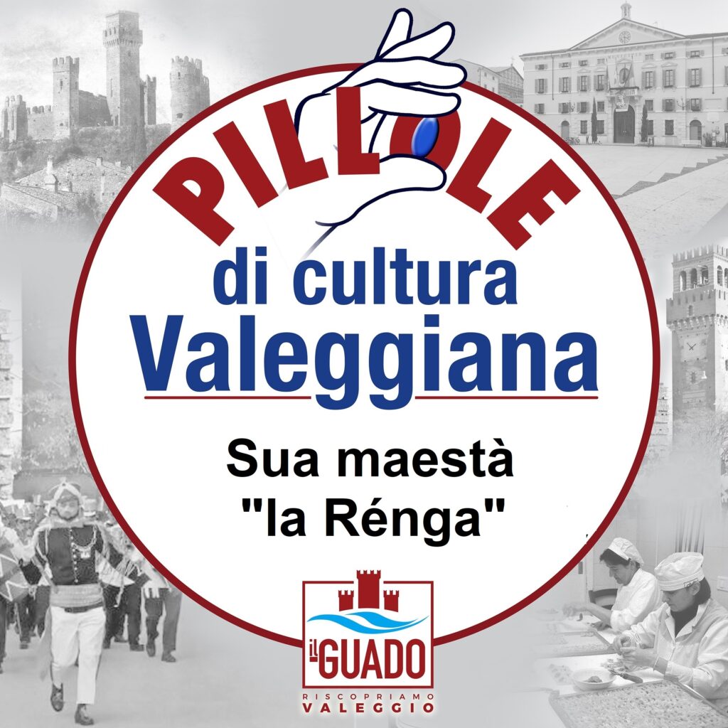 LOGO PILLOLA Renga[1593]