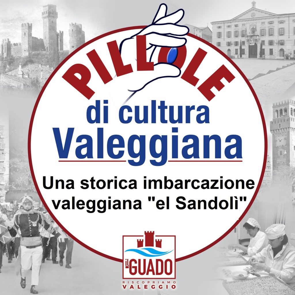 Logo Pillola Sandolign
